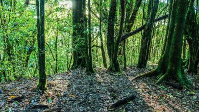  সিএফবিওজি পরীক্ষার রেজাল্ট ২০২৩ 