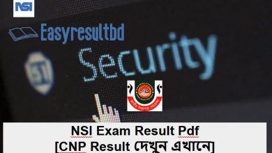 NSI Exam Result 2023 Pdf